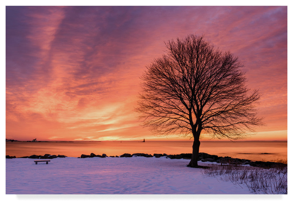 "Come Alive" by Michael Blanchette Photography, Canvas Art, 22"x32"