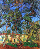 Vincent Van Gogh The Grounds of the Asylum, 20"x25" Gallery Wrapped Canvas