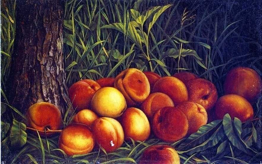 Levi Wells Prentice Peaches, 18"x27" Wall Decal