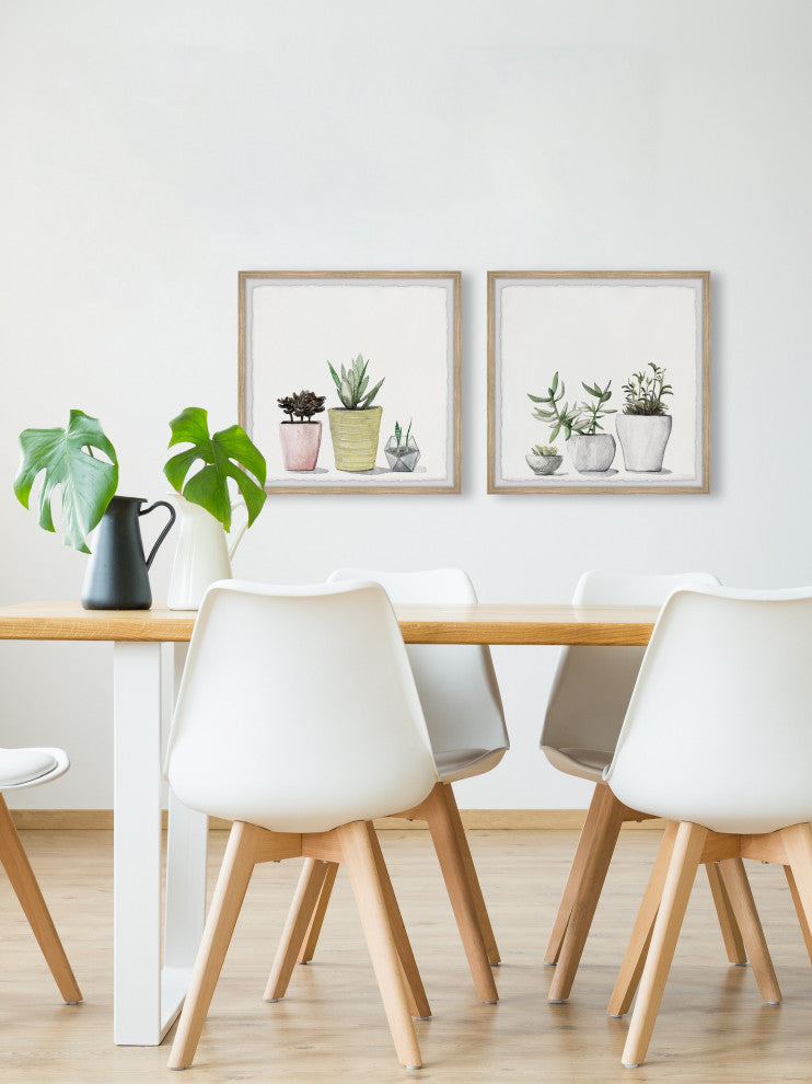 Vases of Succulents Diptych, Set of 2, 24x24 Panels