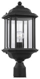 Generation Lighting Lighting 1-Light Outdoor Post Lantern, Black