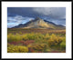 Ogilvie Mountains, Tombstone Territorial Park, Yukon, Canada, 38"x30"