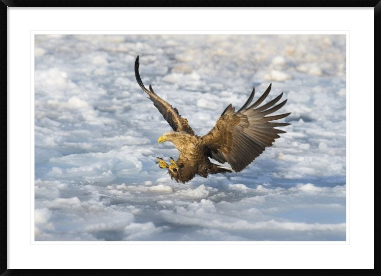 "Coming" Framed Digital Print by C. Mei, 44x32"