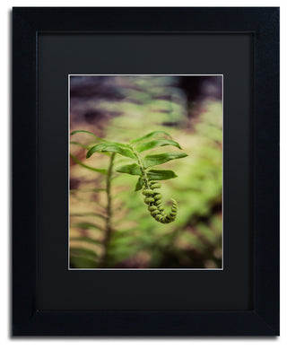 PIPA Fine Art 'Growth of the Forest Floor' Matted Framed Art, 14x11