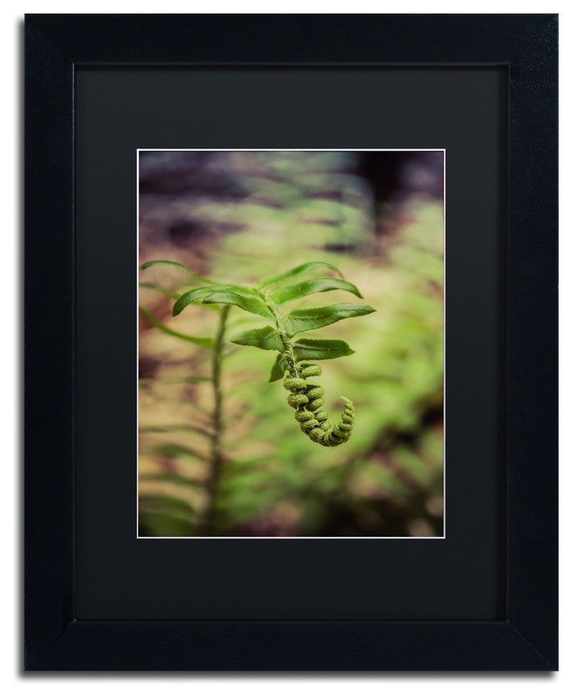 PIPA Fine Art 'Growth of the Forest Floor' Matted Framed Art, 14x11