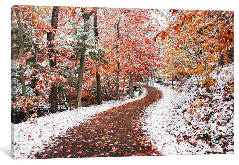 "Two Seasons" by Ben Heine, 40x26x1.5"