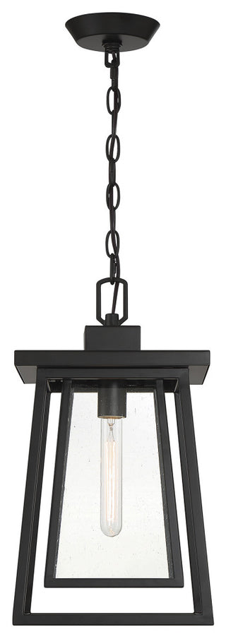 Denver 1-Light Outdoor Hanging Lantern, Matte Black