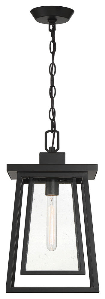 Denver 1-Light Outdoor Hanging Lantern, Matte Black