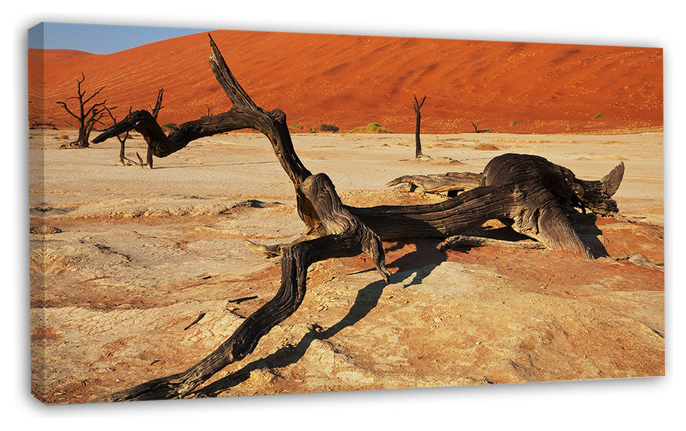 Decayed Tree in Dead Valley, African Landscape Canvas Art Print, 32"x16"