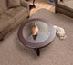 Skid-Resistant Area Rug Praline Brown, 4'x6'