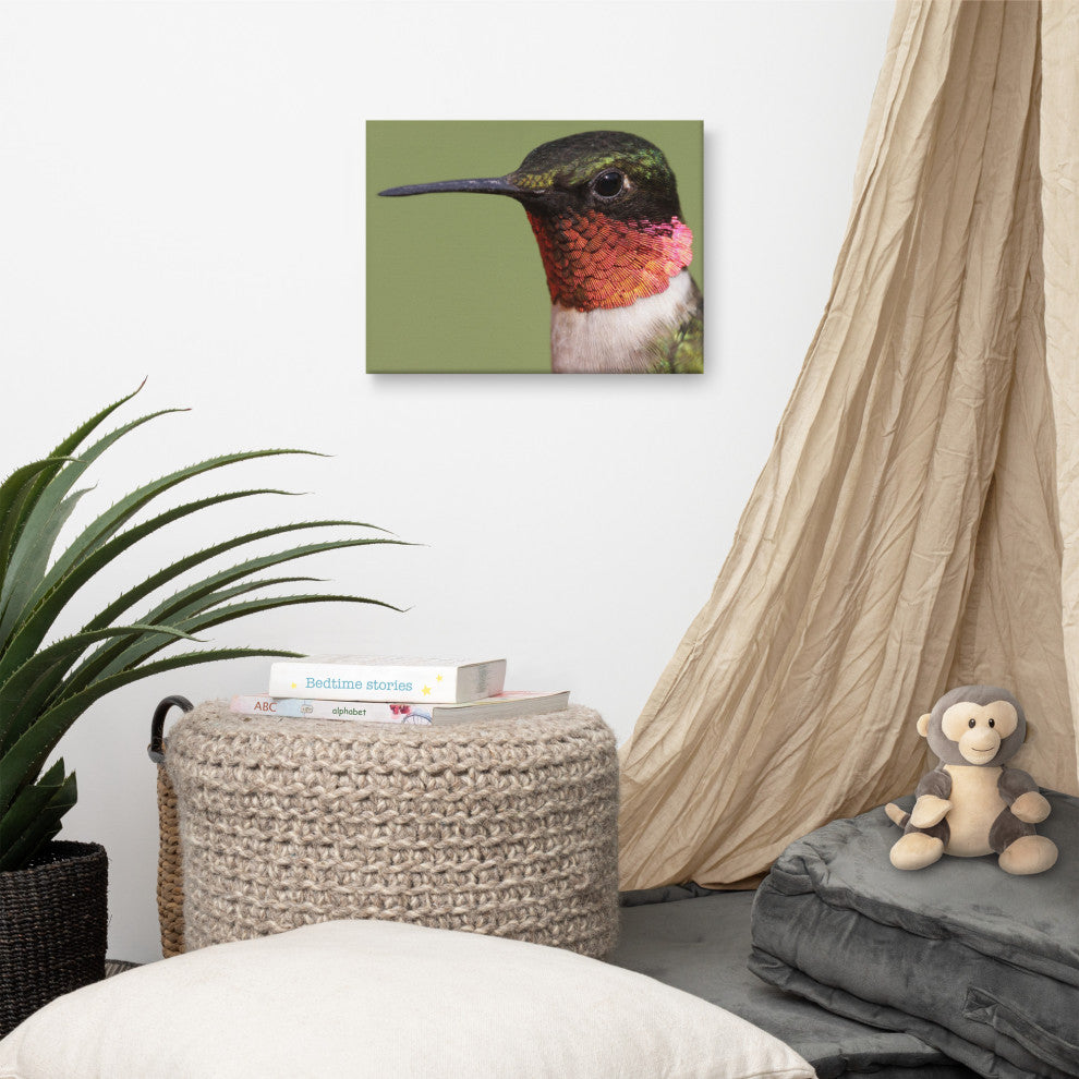 Close-up Ruby-throated Hummingbird Wildlife Photograph Canvas Wall Art Print, 12" X 16"