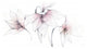 "Pink Graphite Floral Trio" Digital Paper Print by Avery Tillmon, 62"x32"