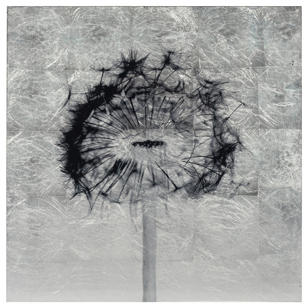 "Dandelion" Reverse Printed on Tempered Glass With Silver Leaf Wall Art