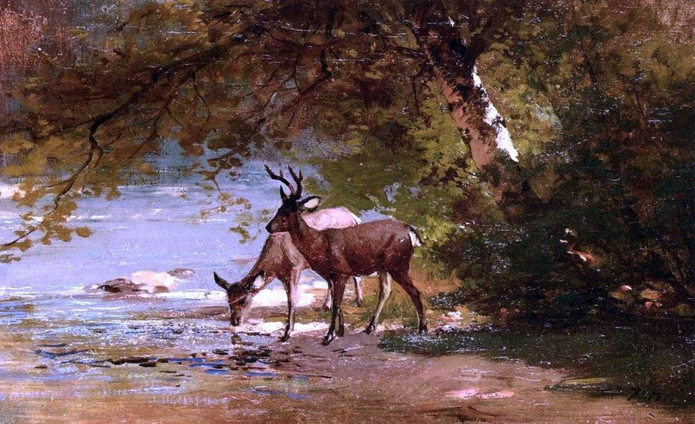 Thomas Hill Deer in a Landscape - 18" x 27" Premium Canvas Print