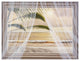 "Framed Surf & Palm View" Digital Paper Print by Diane Romanello, 50"x38"