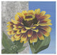 "Zinnia Spice and Silver" Digital Paper Print by Kathrine Lovell, 32"x32"