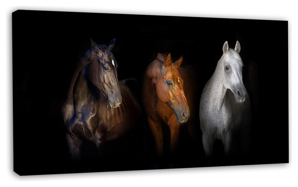 Black Red and White Horses, Animal Canvas Art Print, 32"x16"