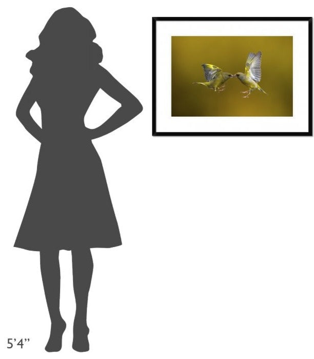 "Flying Kiss" Framed Digital Print by Marco Redaelli, 32x24"