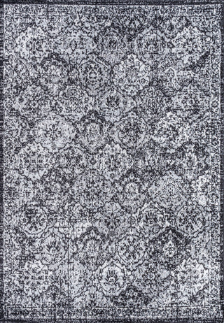 Modern Persian Boho Vintage Trellis 2 ft. x 8 ft. Runner Rug, 4 X 6