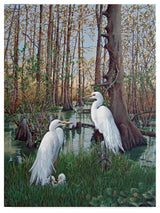 Carol J Rupp 'Snowy White Egret Nesting' Canvas Art, 35"x47"