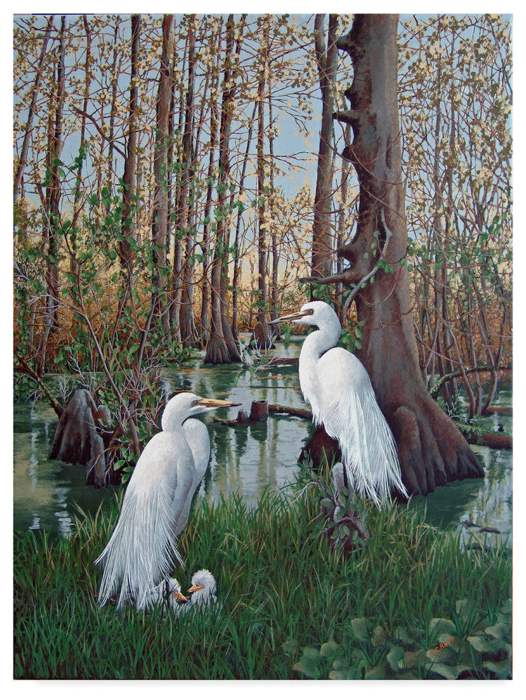 Carol J Rupp 'Snowy White Egret Nesting' Canvas Art, 35"x47"