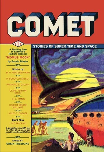 Comet: Bird Spaceship - Fine Art Giclee Print 24" x 36"