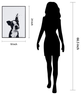 "Boston Terrier" Black and White Pet Art on Printed Glass with Anodized Frame