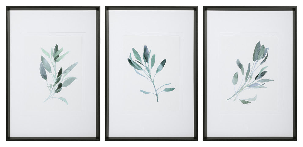 Uttermost 3-Piece Simple Sage Watercolor Print Set