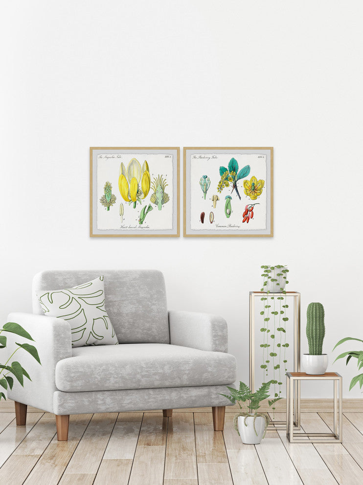 "Isn't Cute? Diptych" Framed Prints, 12"x12", 2-Piece Set