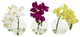 9" Phalaenopsis Orchid Artificial Arrangement, Vase, Set of 3