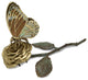 Butterfly Card Holder