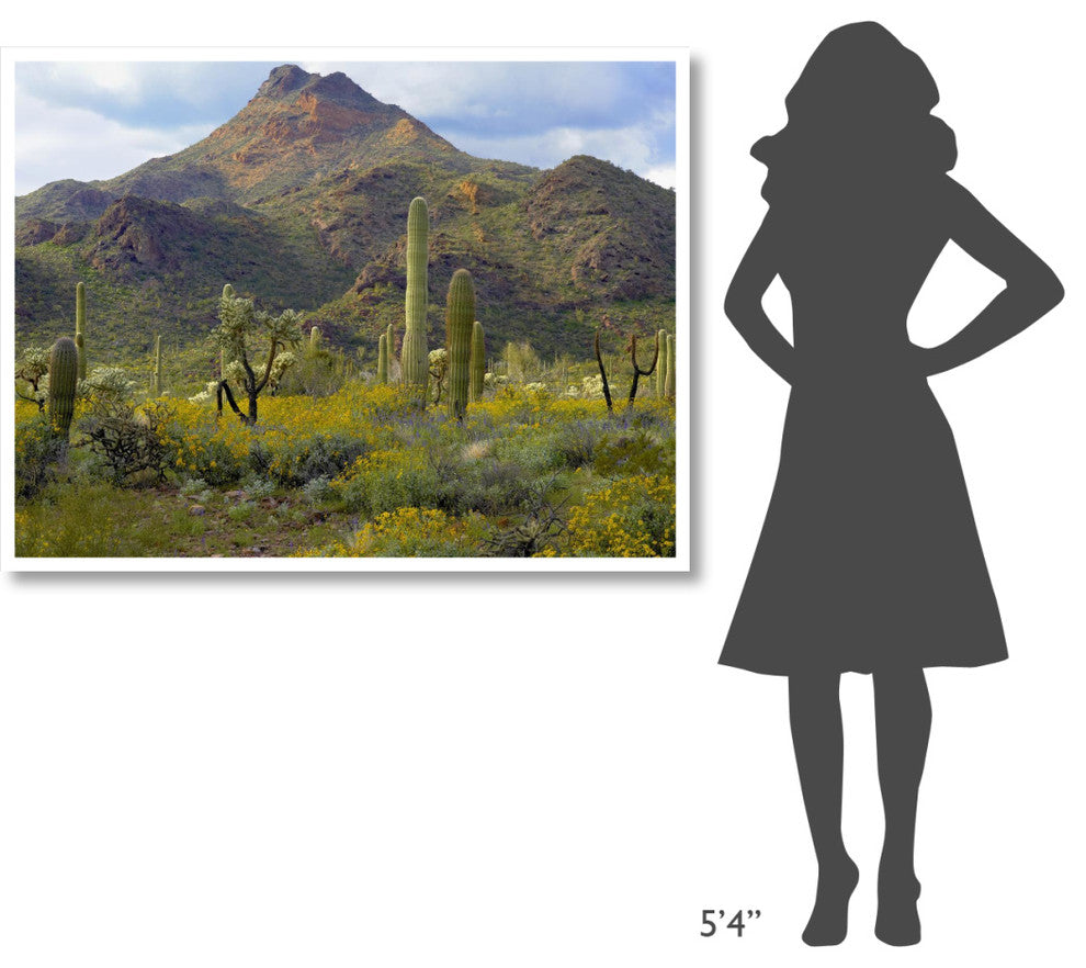 "Saguaro/Teddybear Cholla, Lupine/California Brittlebush" Paper Art, 50"x38"