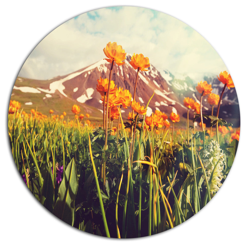 Fantastic Yellow Flowers In Meadow, Flower Disc Metal Wall Art, 36"
