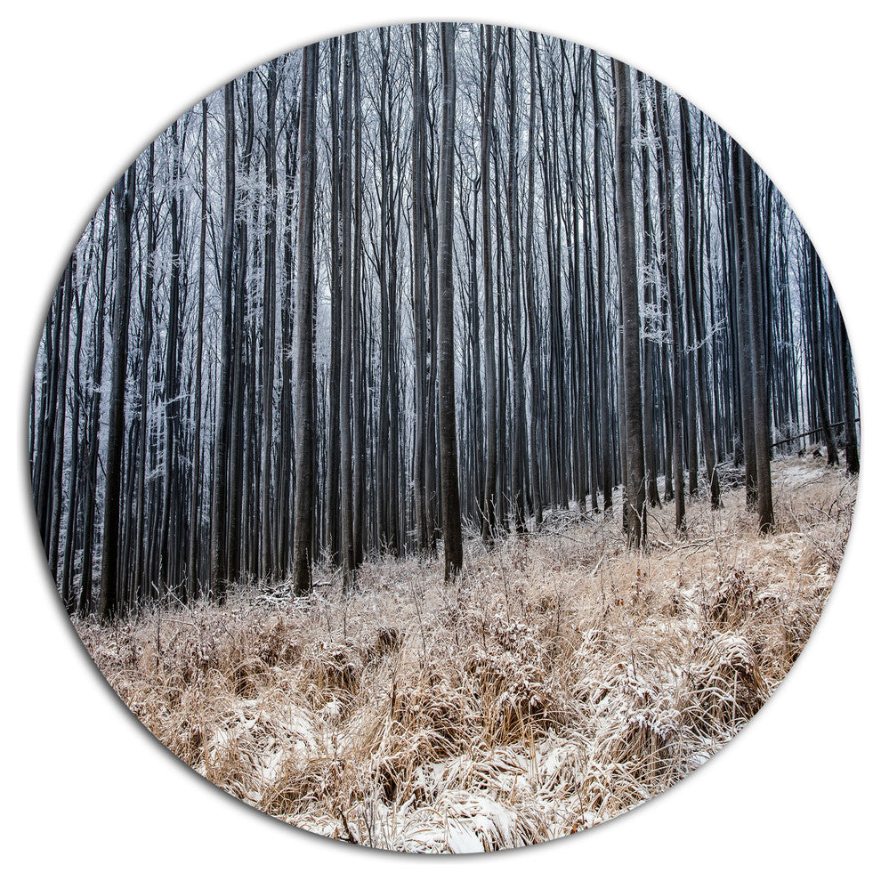 Moody Cold Forest With Thick Woods, Forest Round Wall Art, 23"