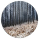 Moody Cold Forest With Thick Woods, Forest Round Wall Art, 23"