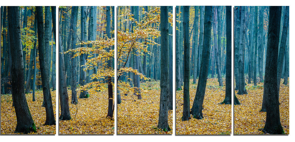 "Dense Autumn Beach Forest" Oversized Forest Canvas Artwork, 5 Panels, 60"x28"