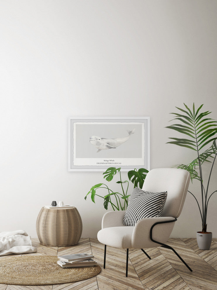"Beluga Whale" Framed Painting Print, 12x8