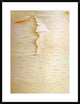 "Birch close up of tree trunk, North America"  by Tim Fitzharris, 29x38"