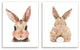 Cute Bunny with Cotton Tail Back Blushing Rabbit,10 x 15