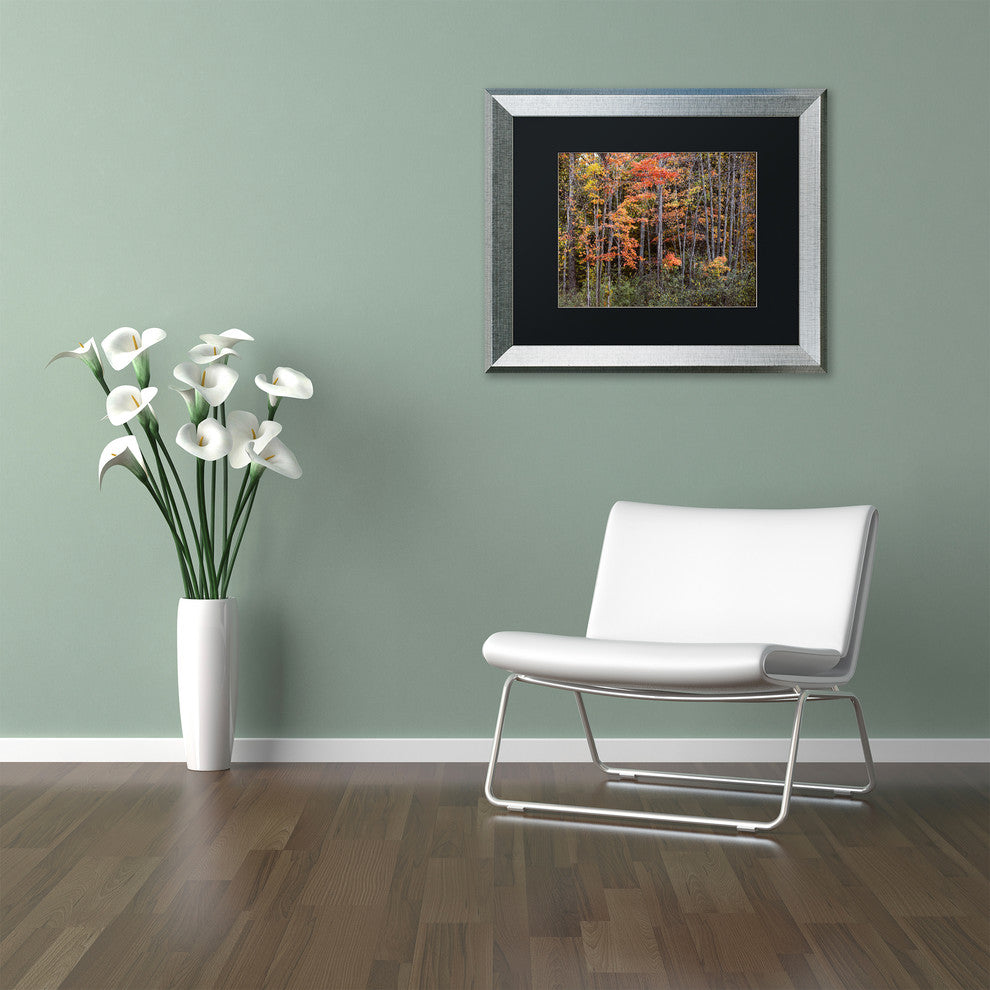 Jason Shaffer ''Autumn Tree Line'', Silver Frame, Black Mat, 14x11
