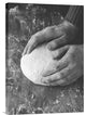 "Dough" Stretched Canvas Giclee by Aleksandrova Karina, 16x22"