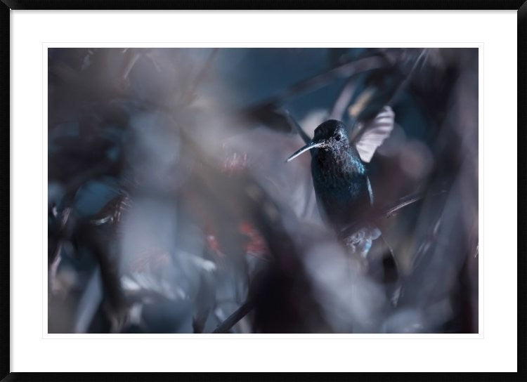 "50 Hz" Framed Digital Print by Fabien Bravin, 44x32"