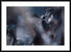 "50 Hz" Framed Digital Print by Fabien Bravin, 44x32"