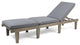 GDF Studio Alisa Outdoor Acacia Wood Chaise Lounge With Cushion, Gray, Single