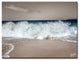 The Power of Love' Canvas Art Print, 16"x20"