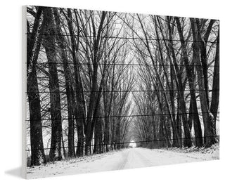 "Rows of Trees" Print on White Wood, 45"x30"