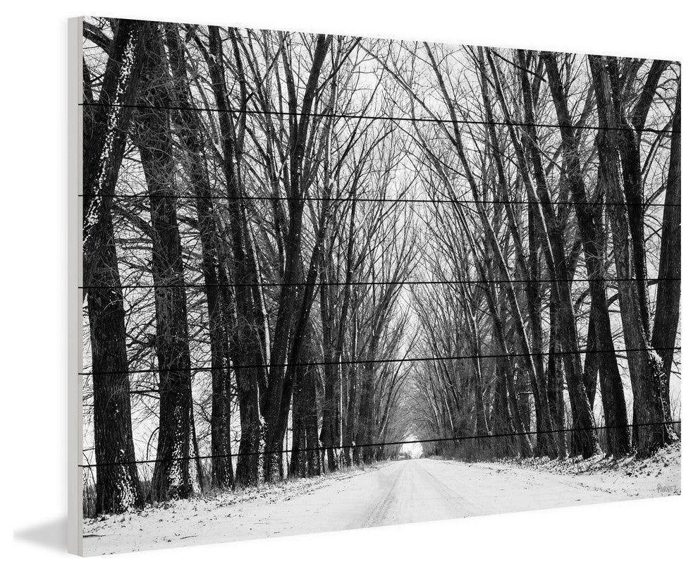 "Rows of Trees" Print on White Wood, 45"x30"
