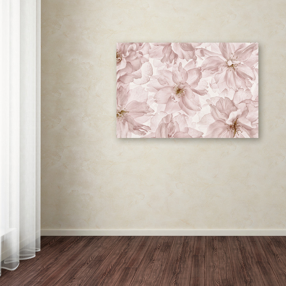 Cora Niele ''Translucent Cherry Blossom'' Canvas Art