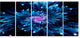 Blue Fractal Flower with Shiny Particles, Flower Canvas Art, 60"x28", 5 Panels