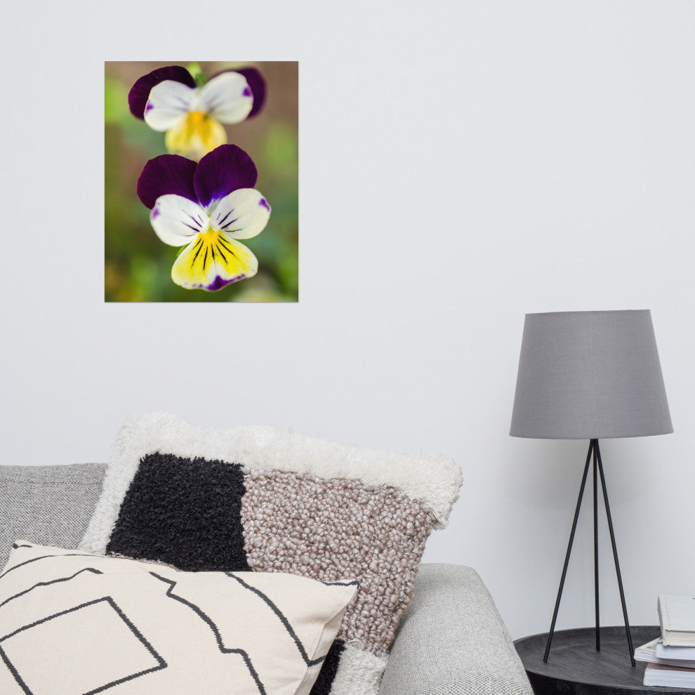 Pretty Little Violets Floral / Botanical Photograph Unframed Wall Art Prints, 16" X 20"